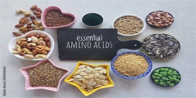 Are You Eating the Right Proteins? Know Your Essential Amino Acids