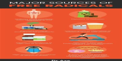 Free Radical Reduction and Cancer Prevention