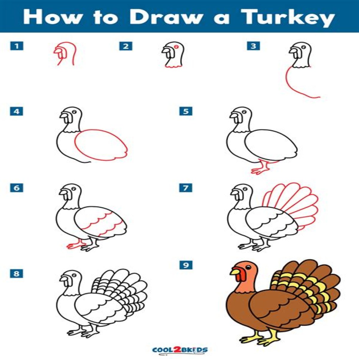 How to Draw a Turkey