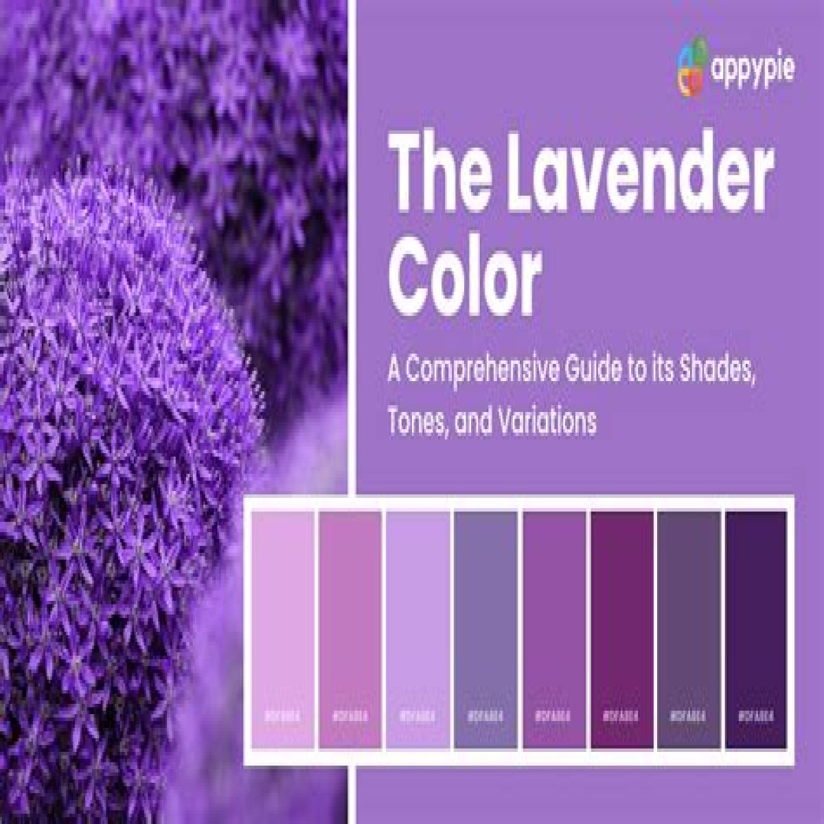 Lavender Color - Understanding All the Different Shades of Lavender