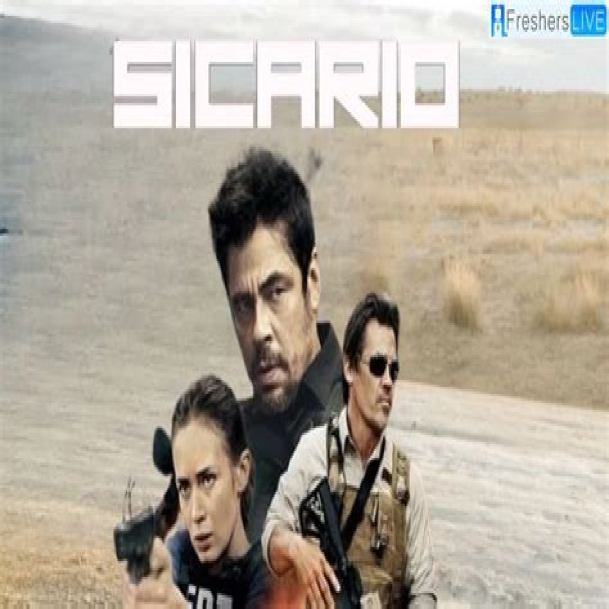 Sicario (2015) : Is It Based on a True Story? Know Cast, Plot and Where to Watch? - SarkariResult