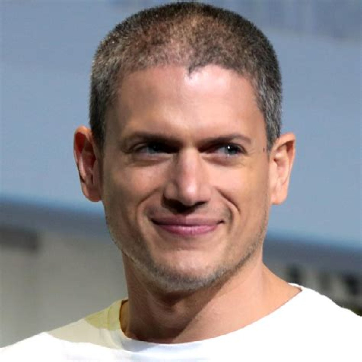 Wentworth Miller Net Worth, Income, Salary, Earnings, Biography
