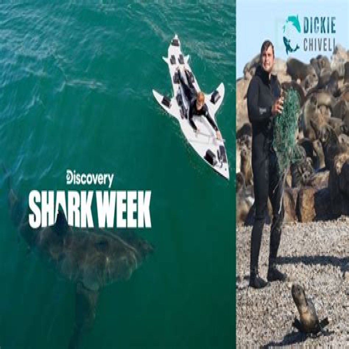 Where Is Dickie Chivell From Shark Week From? Background Story And More The Talks Today