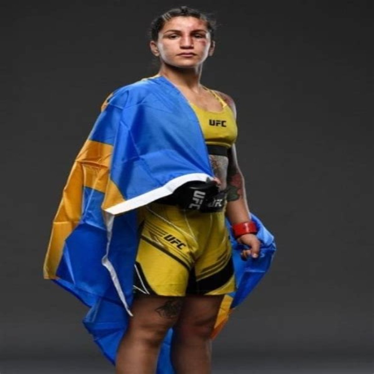 Who Is Pannie Kianzad Partner Ilaz Zabelaj? Meet The UFC Fighter On Instagram The Talks Today